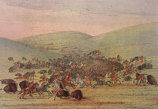 Minatarees attacking buffalo on horseback a (after) George Catlin