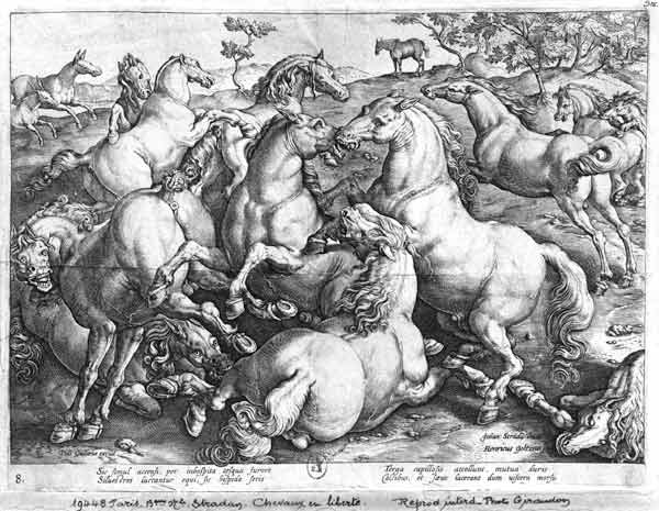 Horses in the wild a (after) Jan van der (Joannes Stradanus) Straet