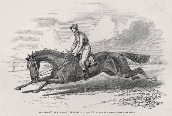 ''The Baron'', the winner of the Great St. Leger, from ''The Illustrated London News'', 27th Septemb a (after) John Frederick Herring Snr