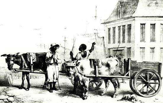 Negro Boys with bullock carts, from ''Voyage a Surinam'' 1834 a (after) Pierre J. Benoit