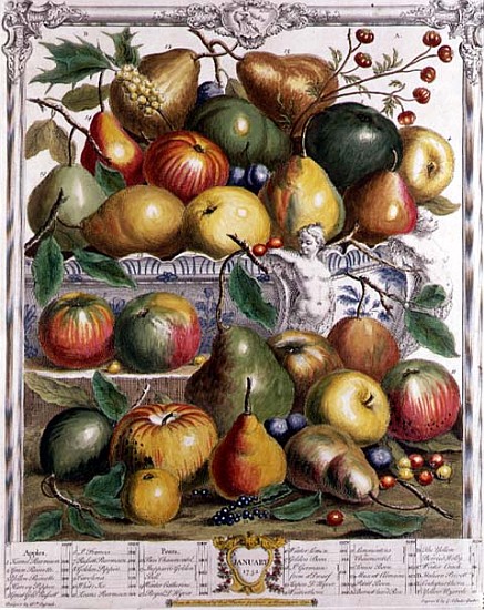 January, from ''Twelve Months of Fruits'', Robert Furber (c.1674-1756) ; engraved by  Gerard Vanderg a (after) Pieter Casteels