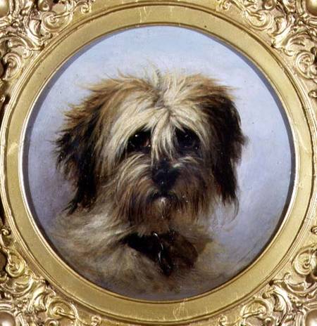 A Head of a Terrier (board) a Agnes Dundas