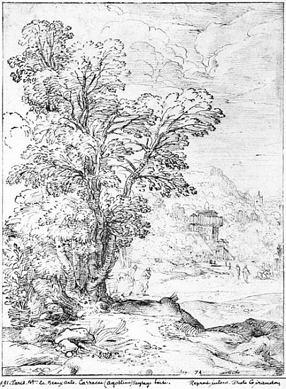 Wooded landscape a Agostino Carracci