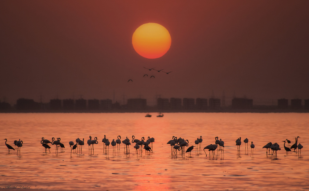 Remarkable sunset a Ahmed Thabet