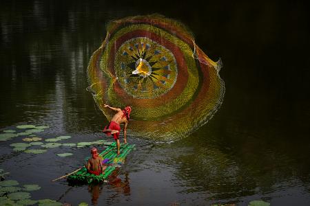 rainbow net