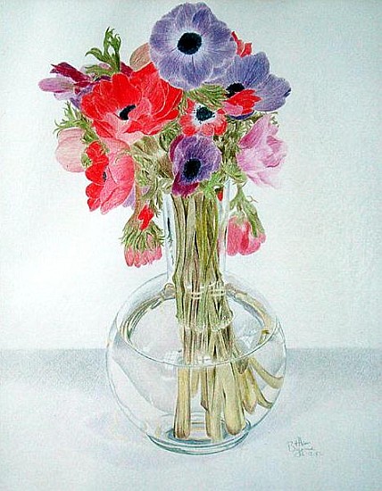 Anemonies, 1982 (coloured pencil on paper)  a Alan  Byrne