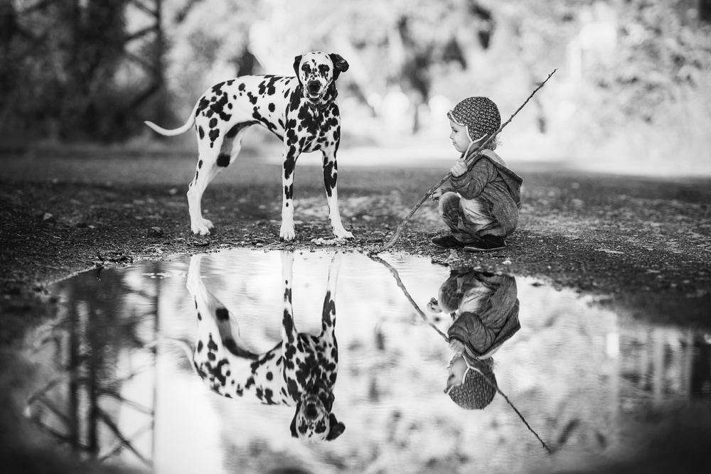 Little boy and dog in the park a Alan Hiller