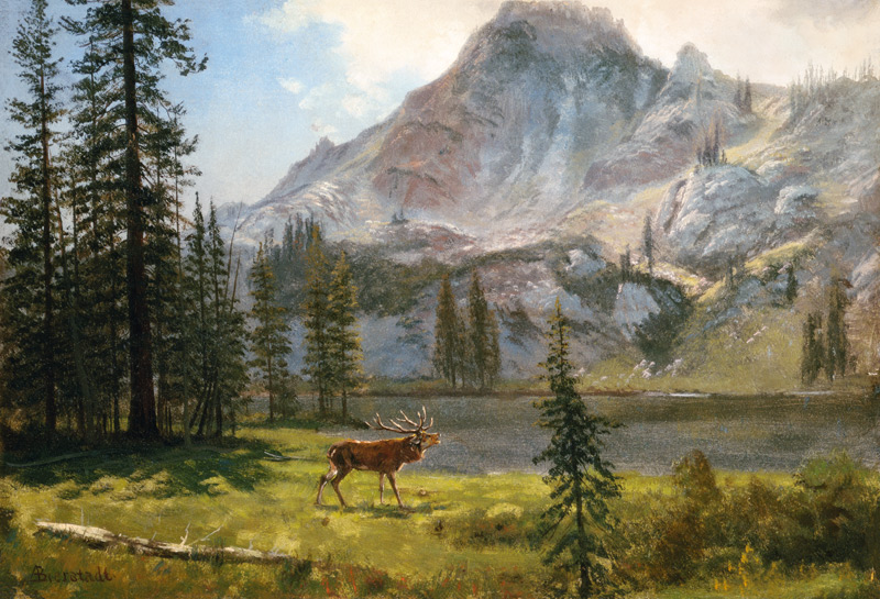 Call of the Wild a Albert Bierstadt