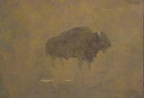 Buffalo in a Sandstorm