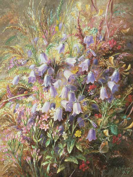 Harebells & other Woodland Flowers & Grasses a Albert Durer Lucas