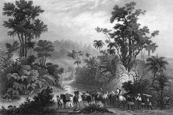 Jagd im Urwalde in Brasilien a Albert Henry Payne