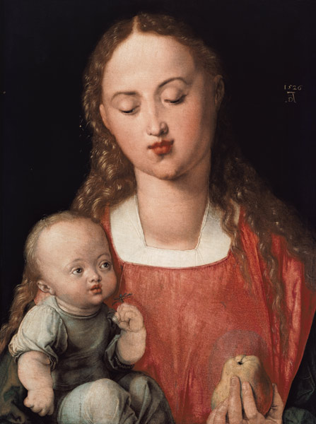 The virgin with the child (the virgin with the pear) a Albrecht Durer