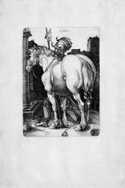 Das große Pferd a Albrecht Durer