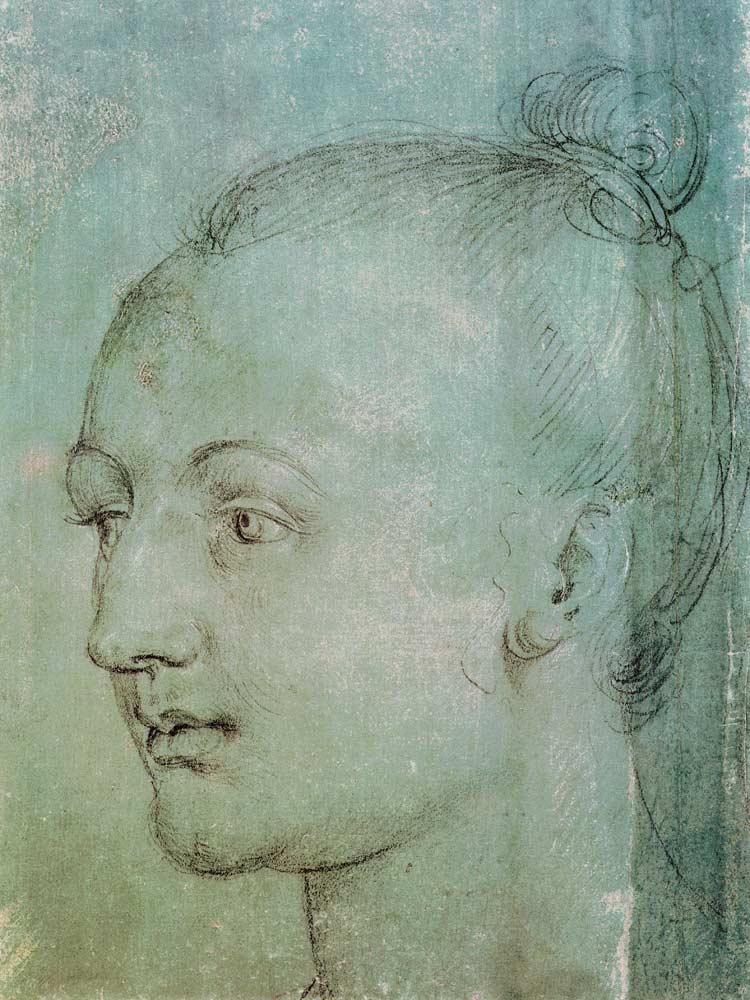 Head of a Young Woman a Albrecht Durer