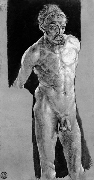 Albrecht Dürer / Nude Self-Portrait /C16 a Albrecht Durer