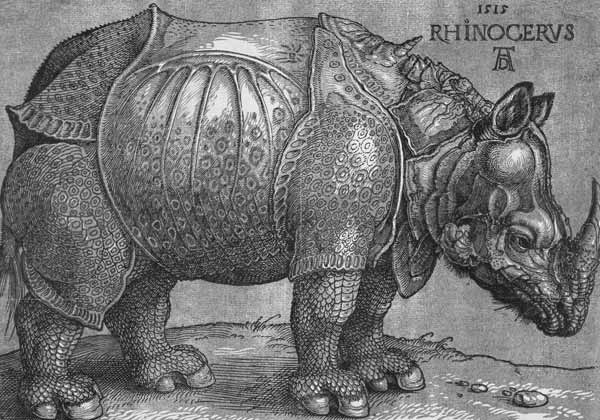 Il rinoceronte a Albrecht Durer