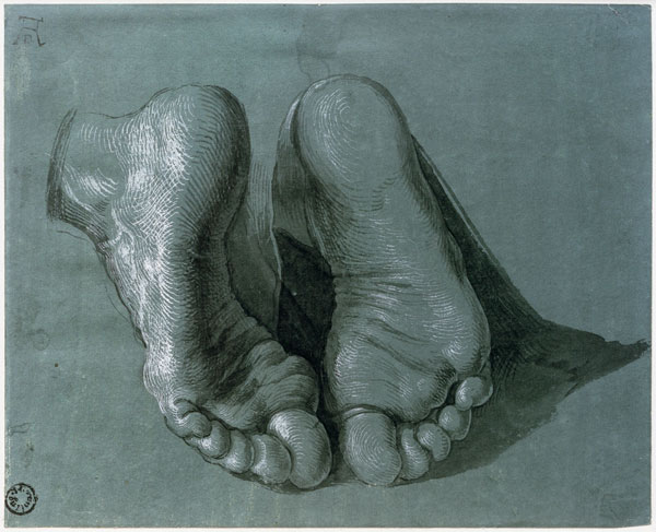 Study of Two Feet a Albrecht Durer