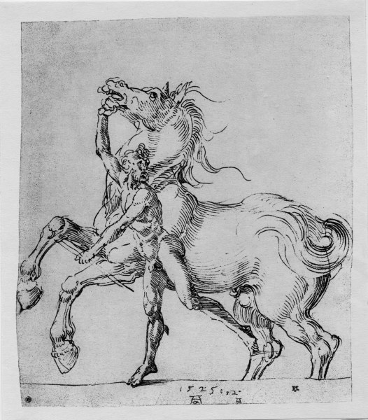 A.Dürer, Nude Man with Horse / 1525 a Albrecht Durer