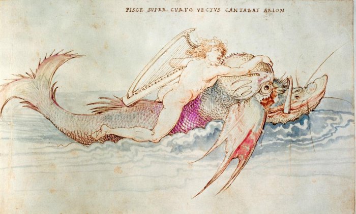 Arion wird von einem Delphin gerettet a Albrecht Durer