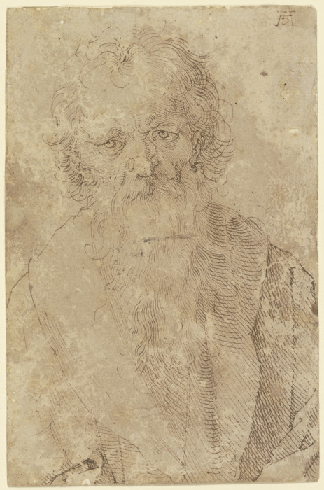 Bearded old man a Albrecht Durer