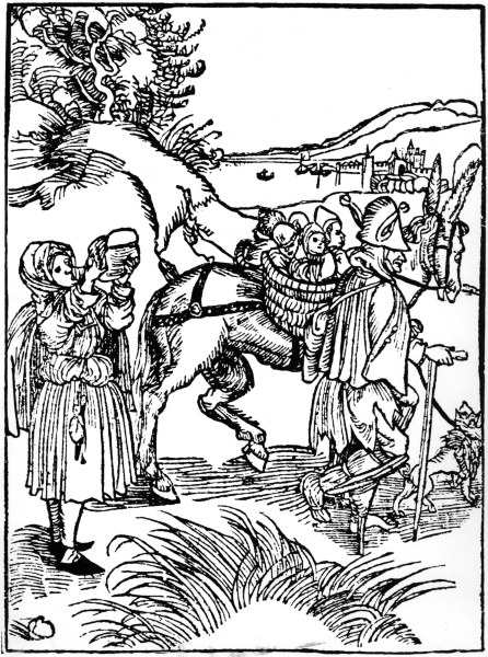 Brant / Ship of Fools / Woodcut / Dürer a Albrecht Durer