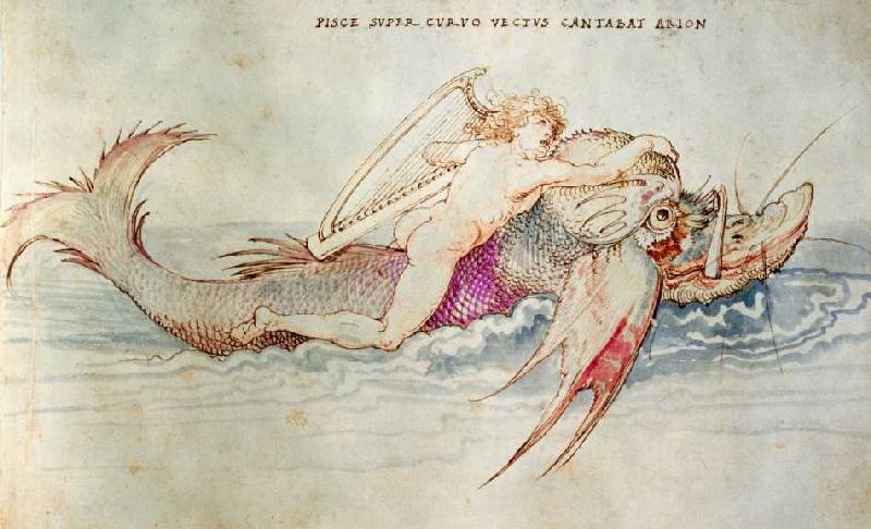Der griechische Poet Arion reitet auf dem Delphin a Albrecht Durer
