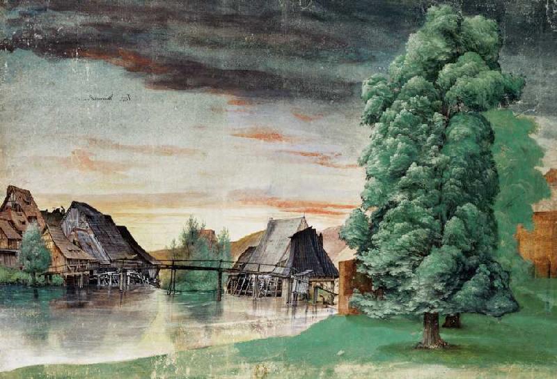 Die Weidenmühle a Albrecht Durer