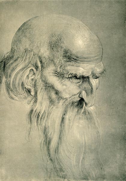 Head of an Apostles / Dürer / 1508 a Albrecht Durer