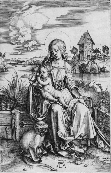 The Madonna with the Monkey a Albrecht Durer