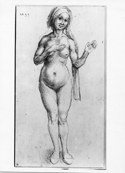 Naked Woman / Dürer / 1493 a Albrecht Durer