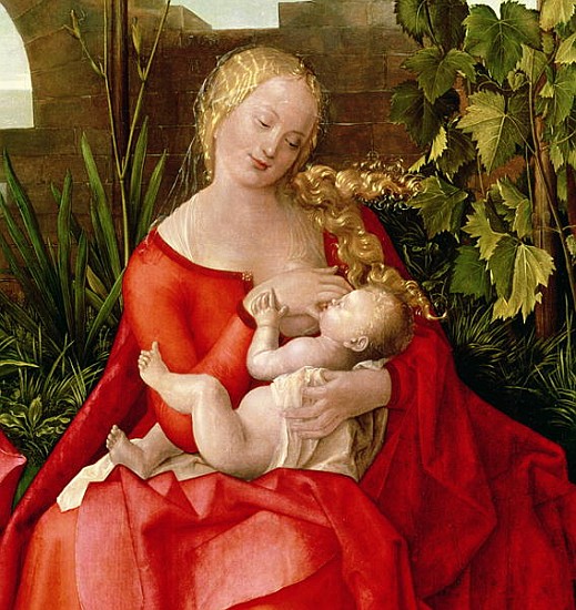 Virgin and Child ''Madonna with the Iris'', 1508 (detail of 22578) a Albrecht Durer