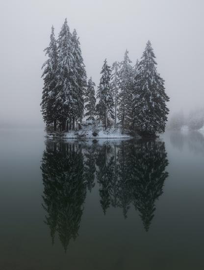 Winter reflection