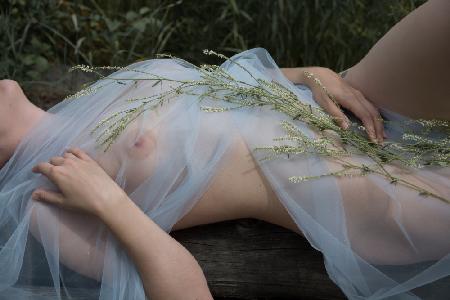 A naked girl lies on a lawn under a sheer fabric with flowers.