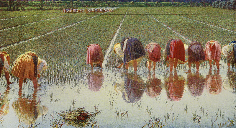 For eighty cents (work in the paddy-field) a Alessandro Morbelli