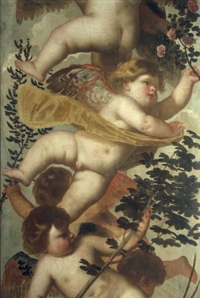 Padovanino / Angel with Rose Twig / Ptg. a Alessandro Varotari