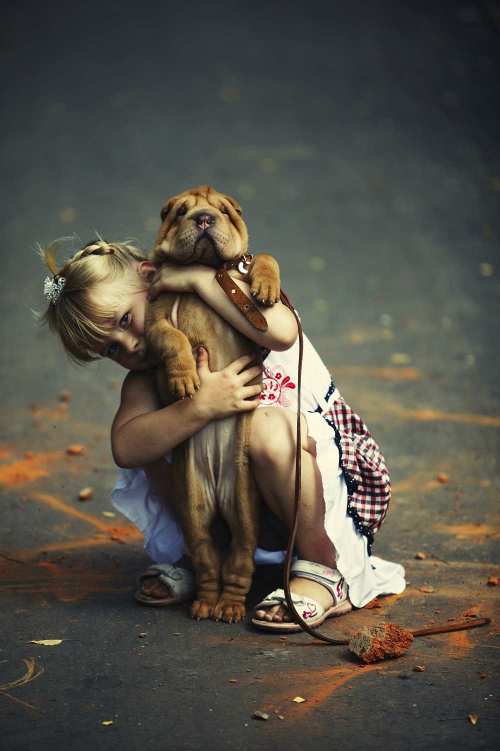 Обнимать собаку. Девочка обнимает собаку. Собака для детей. Девочка с собакой. Для детей. Животные.