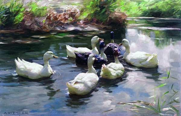 Ducks in a Pond a Alexander Koester