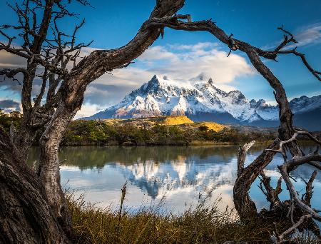 Patagonia