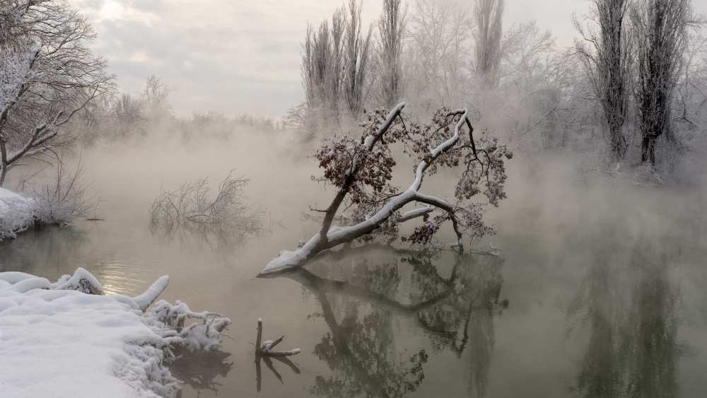 Fog over the water a Alexander Plekhanov