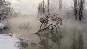 Fog over the water