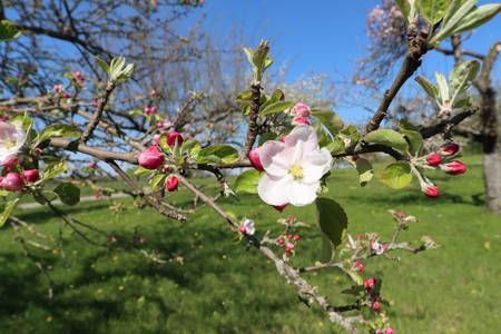 Schätze der Natur