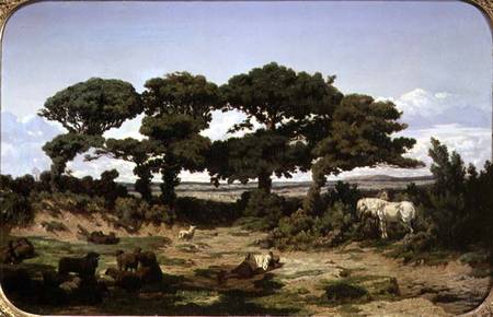 The Oaks of Kertregonnec a Alexandre Sege