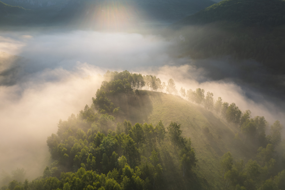 Above the foggy forest a Alexandru Ionut Coman