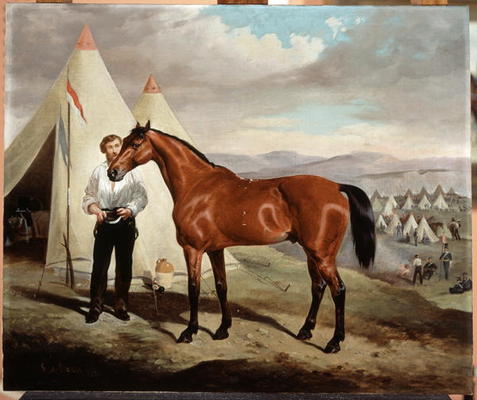 Sir Briggs, horse of Lord Tredegar (1831-1913) of the 17th Lancers, in Camp in Crimea 1854, 1856 (oi a Alfred de Prades