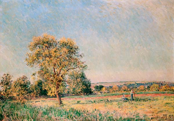 Summer landscape with a big tree. a Alfred Sisley