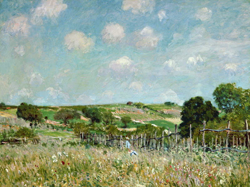 The Meadow. a Alfred Sisley