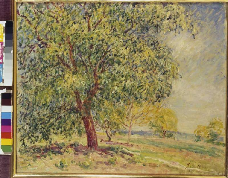 Walnut trees at Sablons. a Alfred Sisley