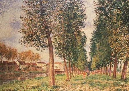 The Poplar Avenue at Moret, Cloudy Day, Morning a Alfred Sisley