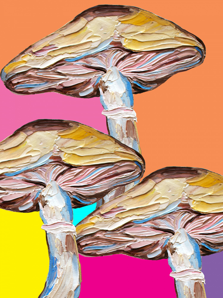 Psychedelic Mushrooms a Alice Straker
