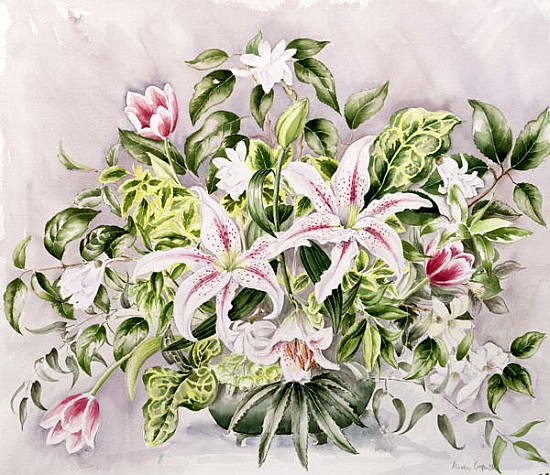 Still life with Tiger Lilies, 1996 (w/c)  a Alison  Cooper